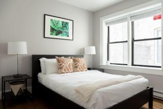Cozy 1br Walk anywhere - Boston - 2