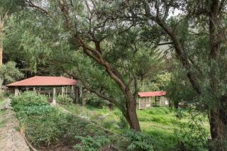 SAUCE Apart Lodge - Fundo ORCCOCOCHA - Ollantaytambo - 5