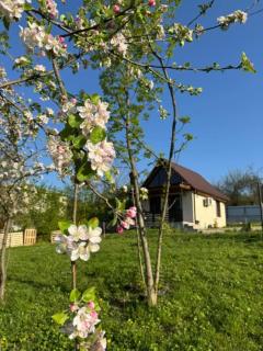Cottage space - Ambrolauri - 0