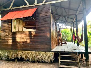 Amazonian Oropéndola & Tambopata - Tambopata - 3
