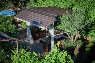 biodelfico, Policoro, Matera, Montalbano, mare - 6