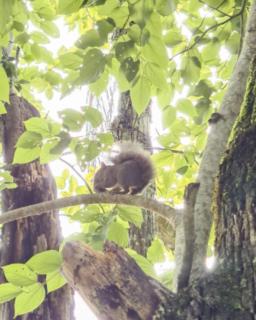 Quarto no Parque Nacional - Quarto Superior - 6