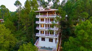 The Forest Willow - 0