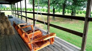Rural life on a real Christmas tree farm! Hallmark experience! - Ozark - 3