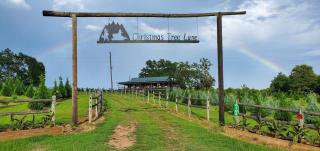 Rural life on a real Christmas tree farm! Hallmark experience! - Ozark - 4