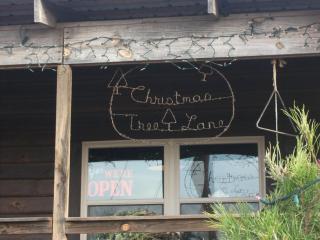 Rural life on a real Christmas tree farm! Hallmark experience! - Ozark - 5