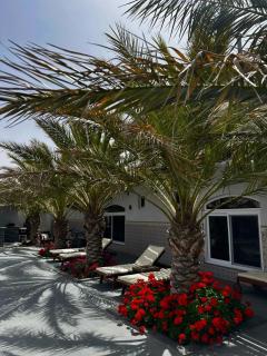 Golden rays chalet - 7