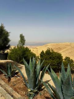 Golden rays chalet - Madaba - 9
