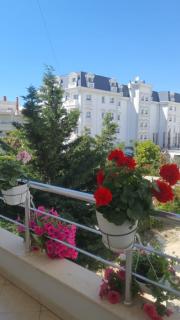 Flower Apartment Golem - Golem - 3
