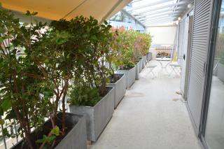 mylo akropoli views - 1