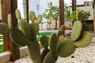 Mialma Bed and Breakfast - Felline - 9