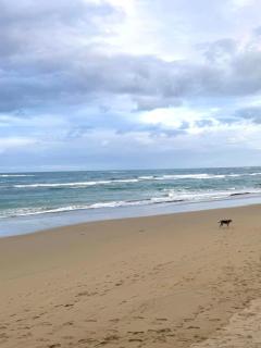 Affordable Beachfront Apartment at Cabarete - SULIS - Cabarete - 6