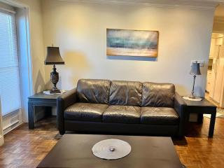 Prime Downtown Atlanta Condo 17th Floor - 1
