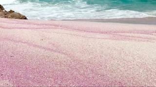 Beach Sands Guest House - Ras al Hadd - 3