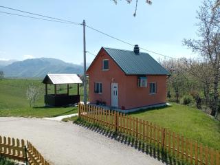 Apartment Pivljanka - Plužine - 0
