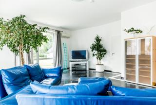 Dreamapartment La Vigna "Stone" Suite mit eigenem Indoorpool & Sauna & Grillhütte - Weil am Rhein - Weil am Rhein - 4