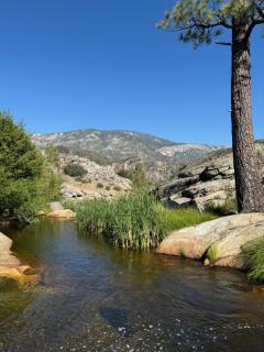 Peppermint Falls Ranch - Ponderosa - 6