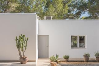 Beautiful 1 hectar property near Cala Jondal - 2