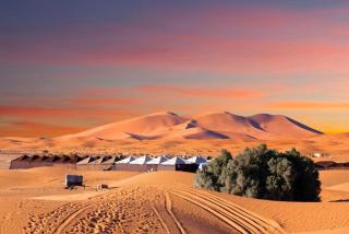 sandboarding campsite - Merzouga - 4