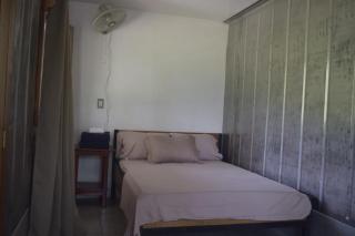 Coconut Lodge #2 - Pavones - 3