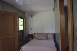 Coconut Lodge #2 - Pavones - 5