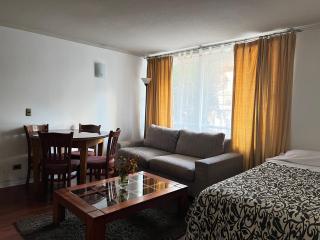 Chilhotel en Providencia - Santiago - 6