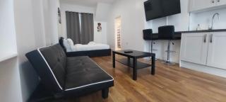 large Studio Near Arsenal Stadium - Londra - 9