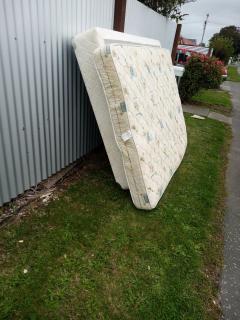Roseberry - Temuka - 1