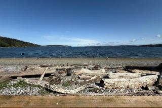 Water's Edge at Dines Point - Greenbank - 0