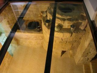 Los Chicos de Lastanosa Hotel y Restaurante - 2