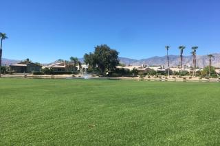Modern & Breezy - Cathedral City - 3