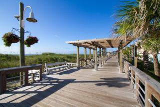 Dolphin Watch - Carolina Beach - 9