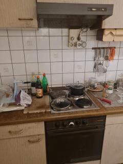 Manne's Campingplatz und Antikmarkt - - 4