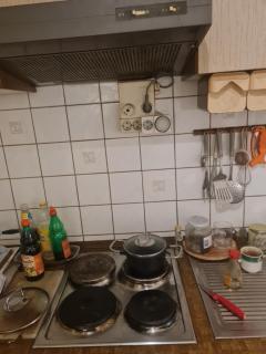 Manne's Campingplatz und Antikmarkt - - 4