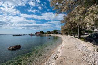Apartments by the sea Bibinje, Zadar - 16752 - Bibinje - 8