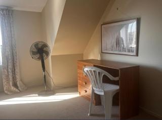 Entire floor with privacy - New Plymouth - 9