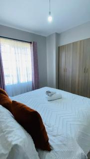 Chic 1BR Ruiru Gwakairu - Ruiru - 3