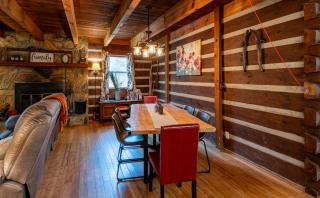 The Mountain Forager Cabin, Bryson City NC - Bryson City - 1