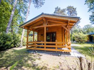 Luxurious lodge with sauna and steam cabin - Markelo - 3