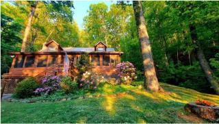The Mountain Forager Cabin, Bryson City NC - Bryson City - 0