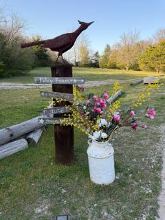 Savannah's Meadow - 5