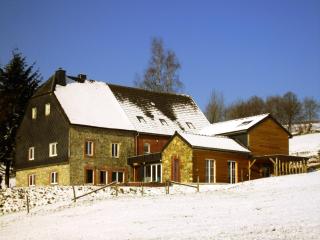 Holiday home in Libomont with sauna and jacuzzi - Weismes - 4