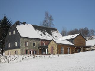 Holiday home in Libomont with sauna and jacuzzi - Weismes - 3