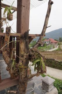 The Vu's Ha Giang - Lan Hung - 3