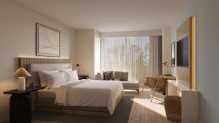 Hilton Jacksonville At Mayo Clinic - Jacksonville - 6