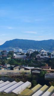Midori Home - 5