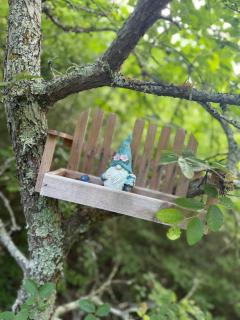 Savannah's Meadow - 2