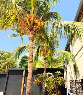 VUE by The Cabins - La Libertad - 8