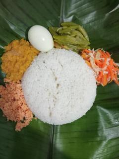 Wilpattu Restaurant & Guest house - Pahala Maragahawewa - 4