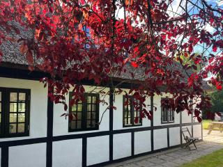 Charming Thatched Cottage From 1877 - Ørsted - 8